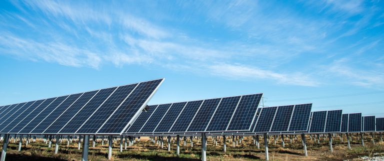 Sustainability is the only legacy