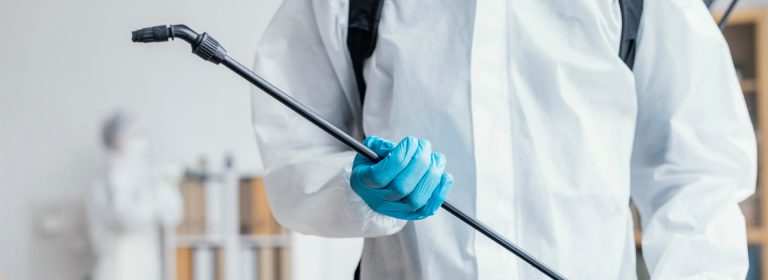 Clean homes are pest-free homes